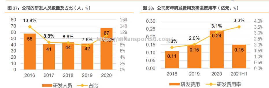 篮球运动持续升温，打造全球热点